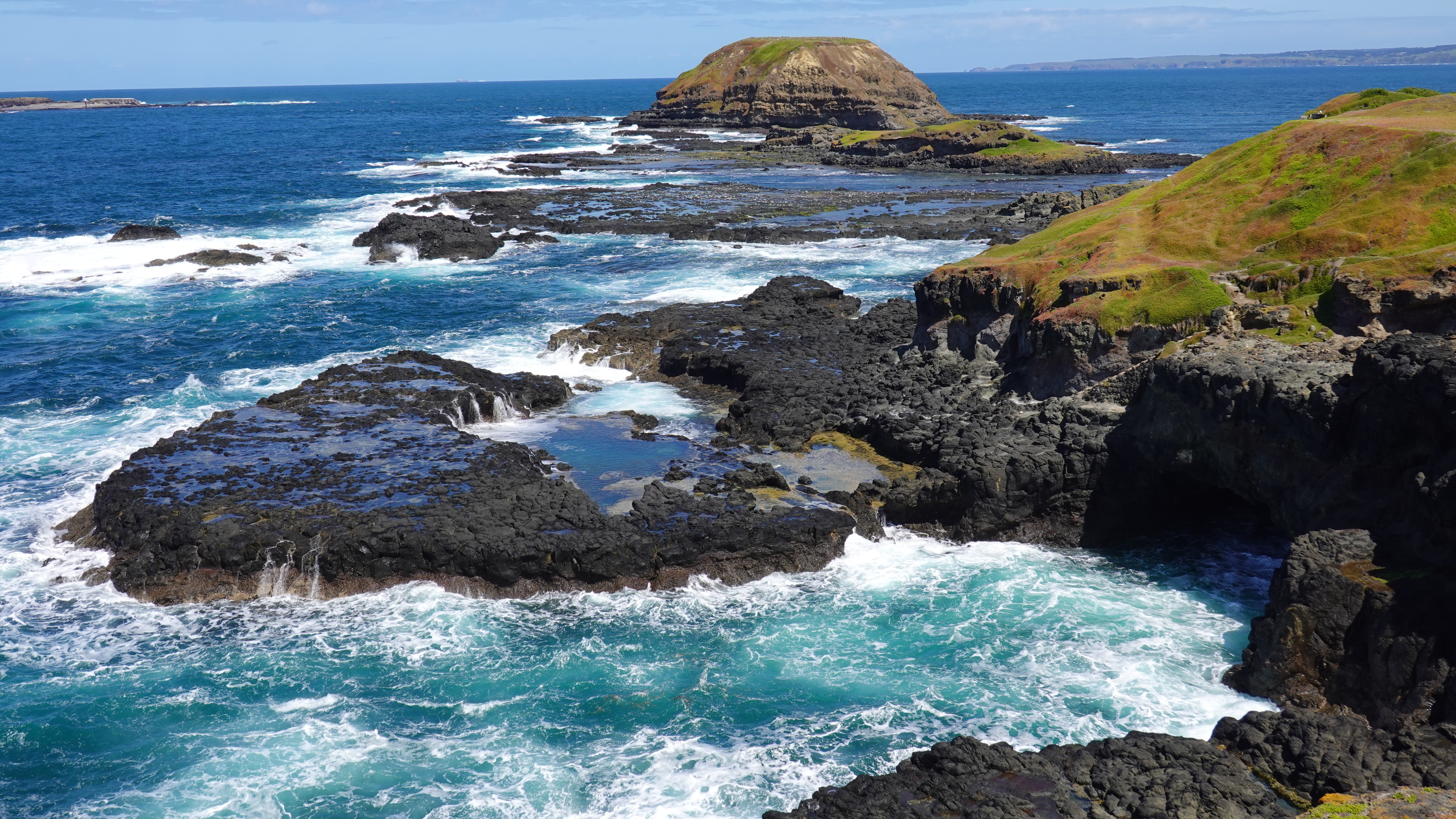 Australien Phillip Island The Nobbies