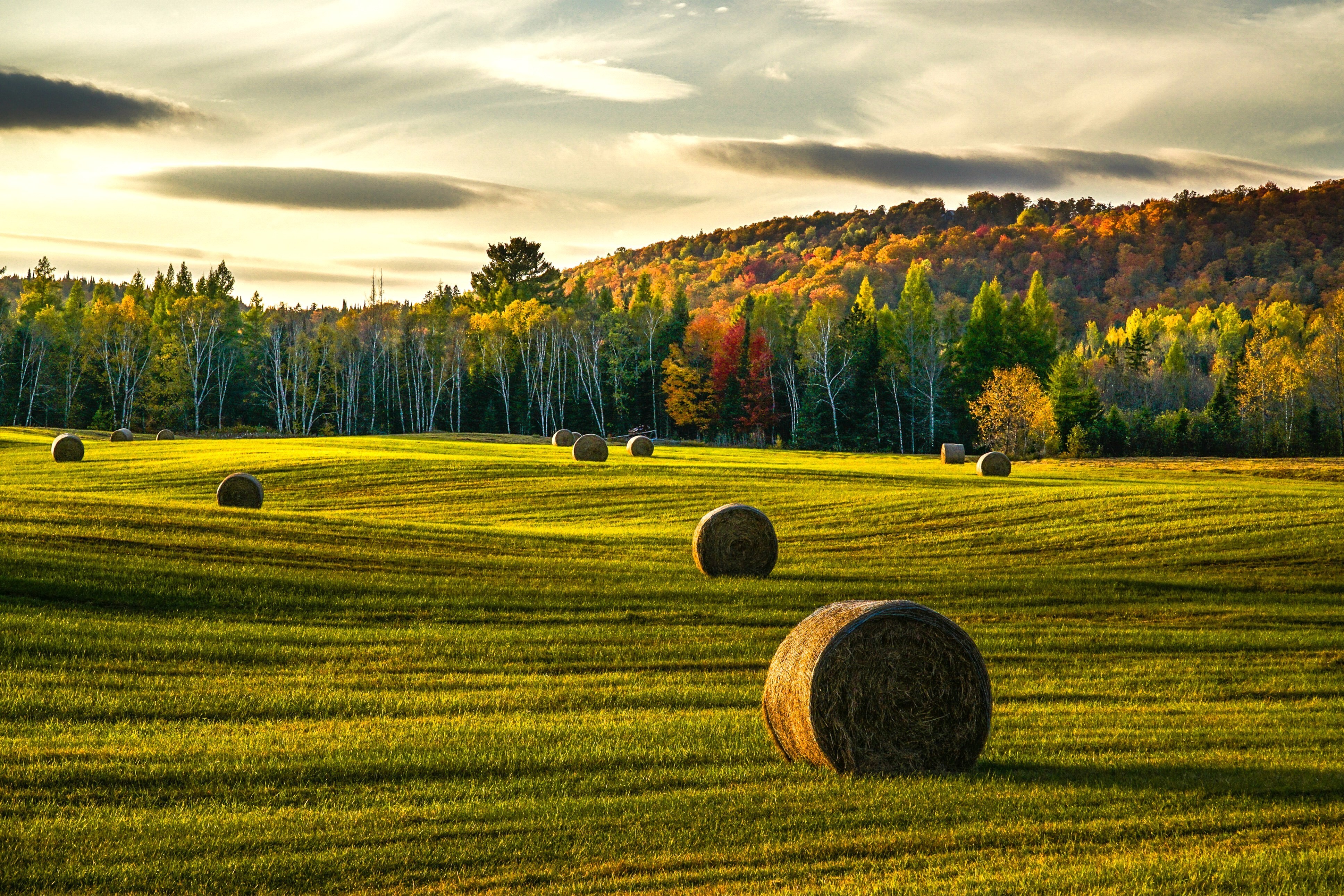 Momnt Tremblant nunzio guerrera UM8 YB G9 K8 unsplash