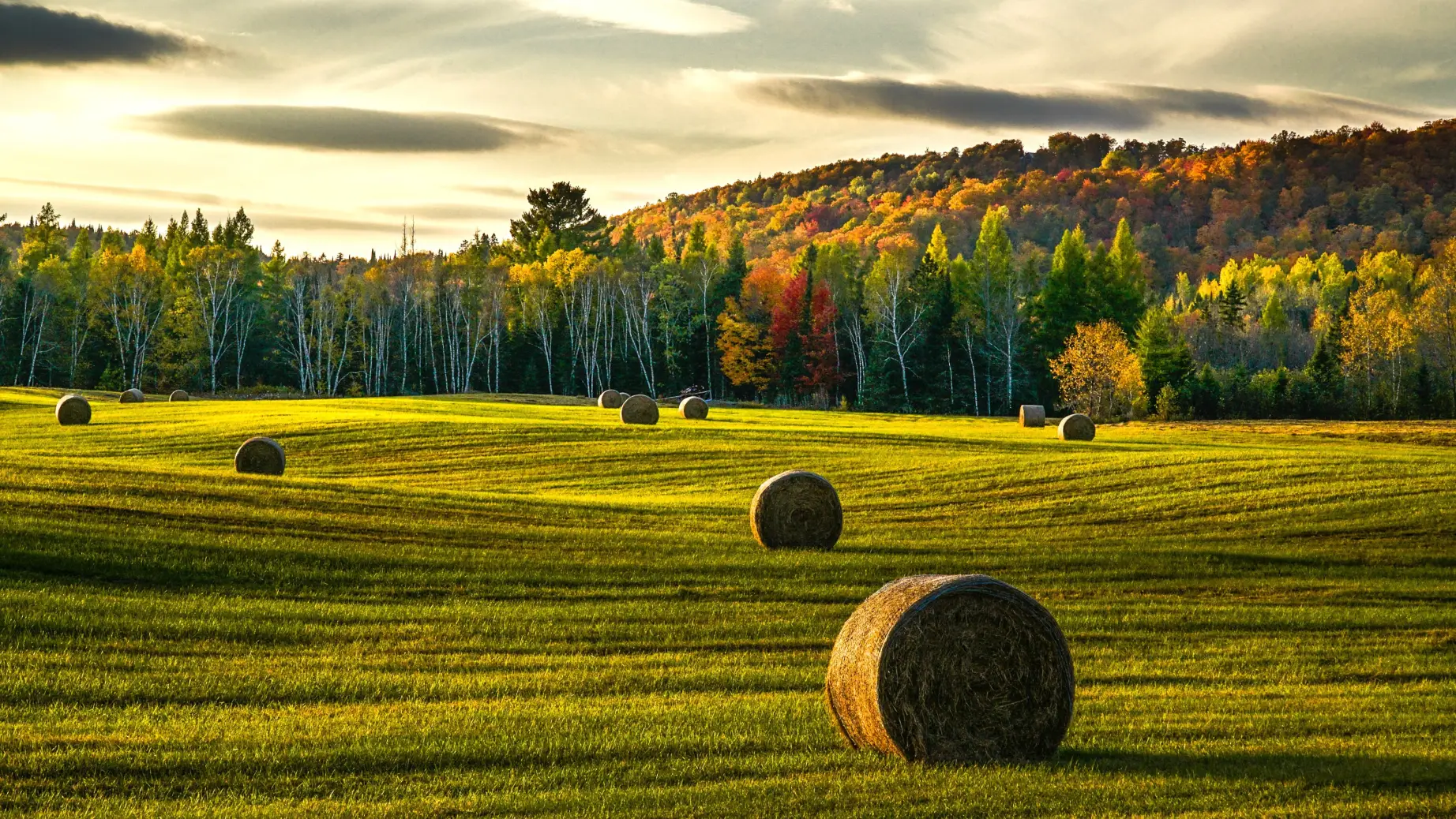 Momnt Tremblant nunzio guerrera UM8 YB G9 K8 unsplash