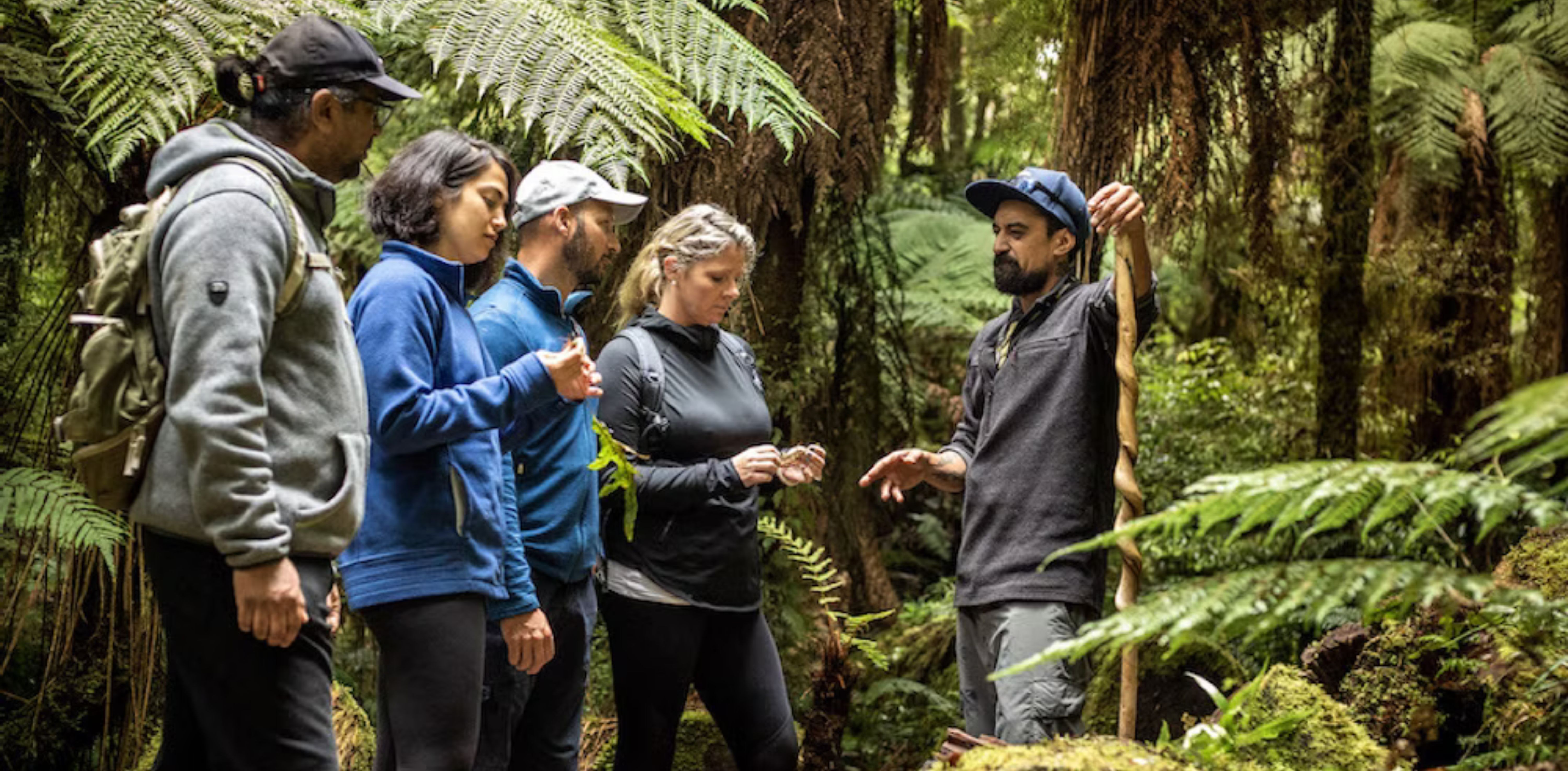 Een Maori-gids leidt een tour in het regenwoud met een groep gasten