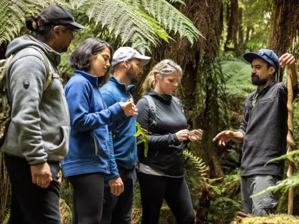A Maori guide leads a tour in the rainforest with a group of guests