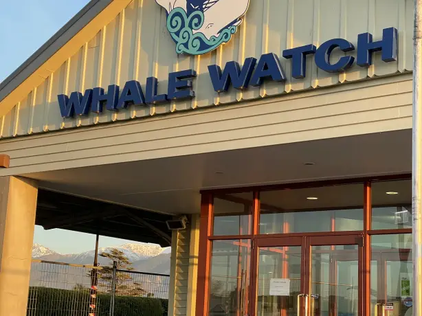NZ Kaikoura whale watch building