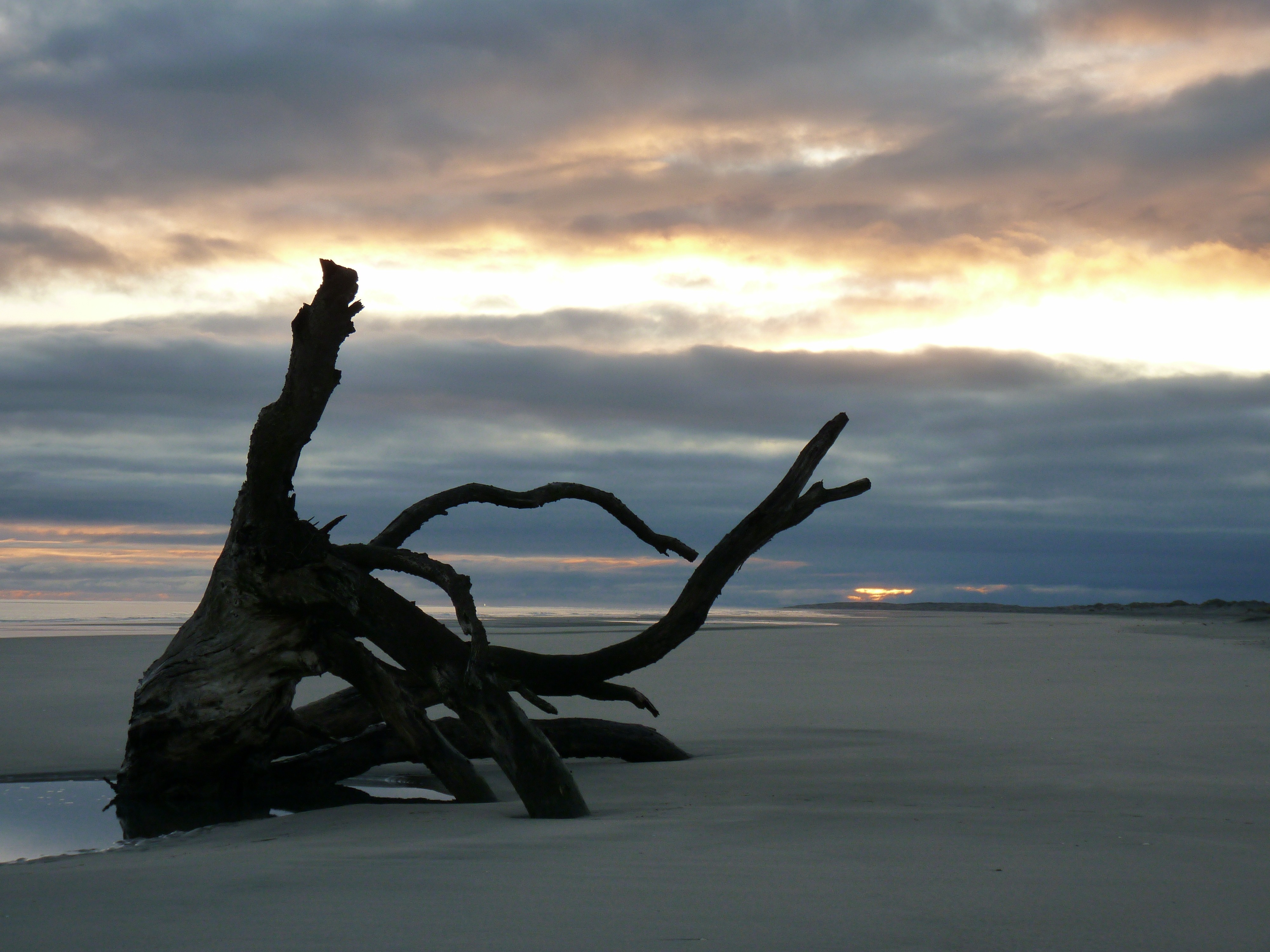 NZ review Onno Helma beach Farwell Spit at sunrise