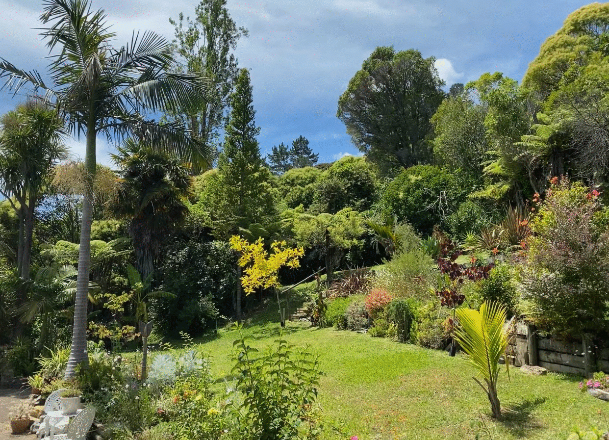 NZ Coromandel Fantail Hill BB garden