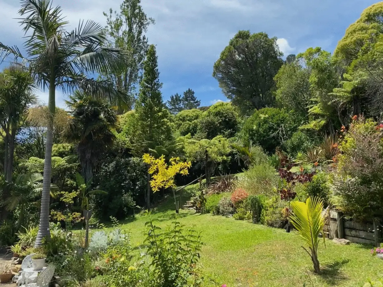 NZ Coromandel Fantail Hill BB garden