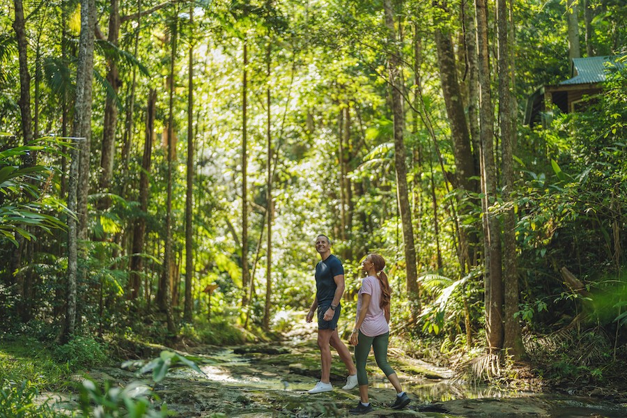 Narrows Escape Rainforest Retreat Montville Credit Tourism Events Queensland 3