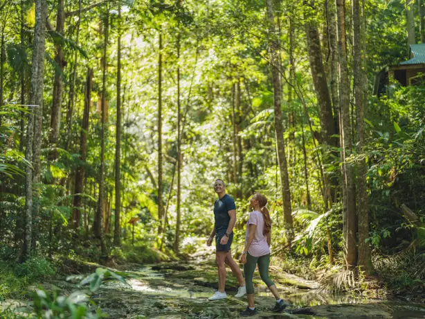 Narrows Escape Rainforest Retreat Montville Credit Tourism Events Queensland 3