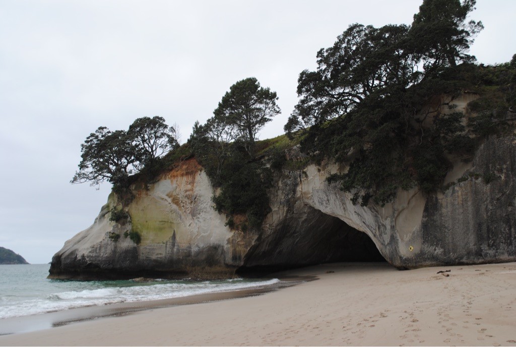 Newzealand north coromandel cathedralcove clients uffelmann