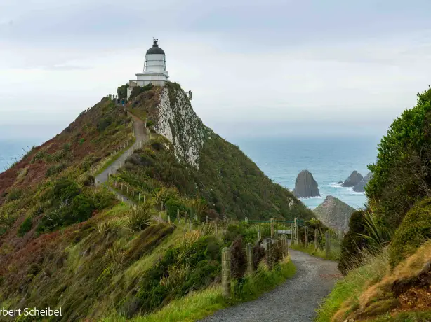 Newzealand south nugget point clients Scheibel