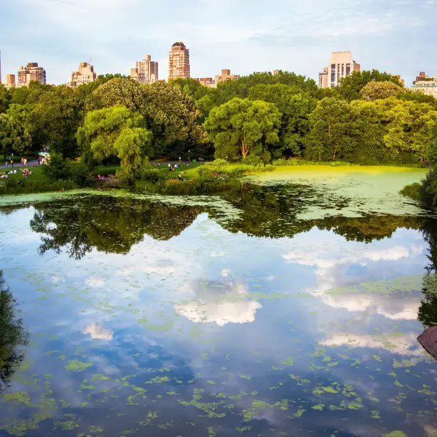 Het meer in Central Park, mensen liggen op het gras en er zijn wolkenkrabbers achter de bomen te zien