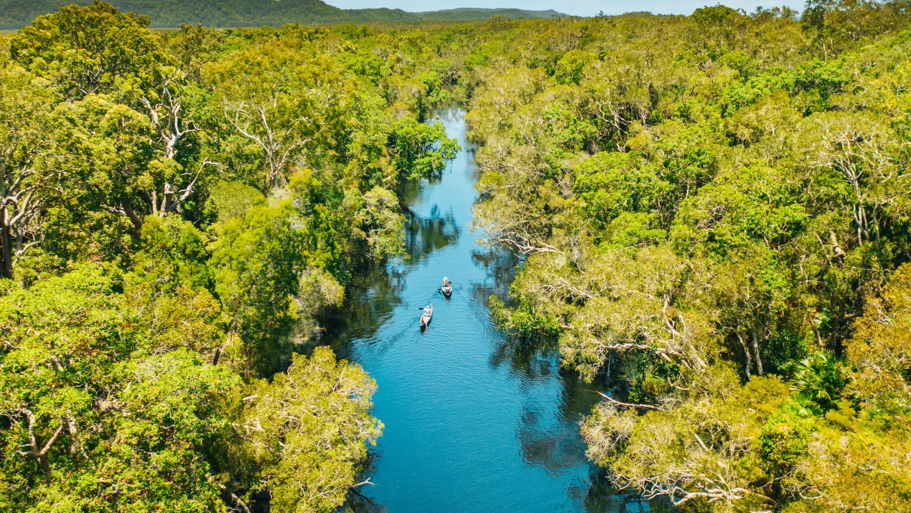 Noosa Everglades Credit Tourism and Events Queensland