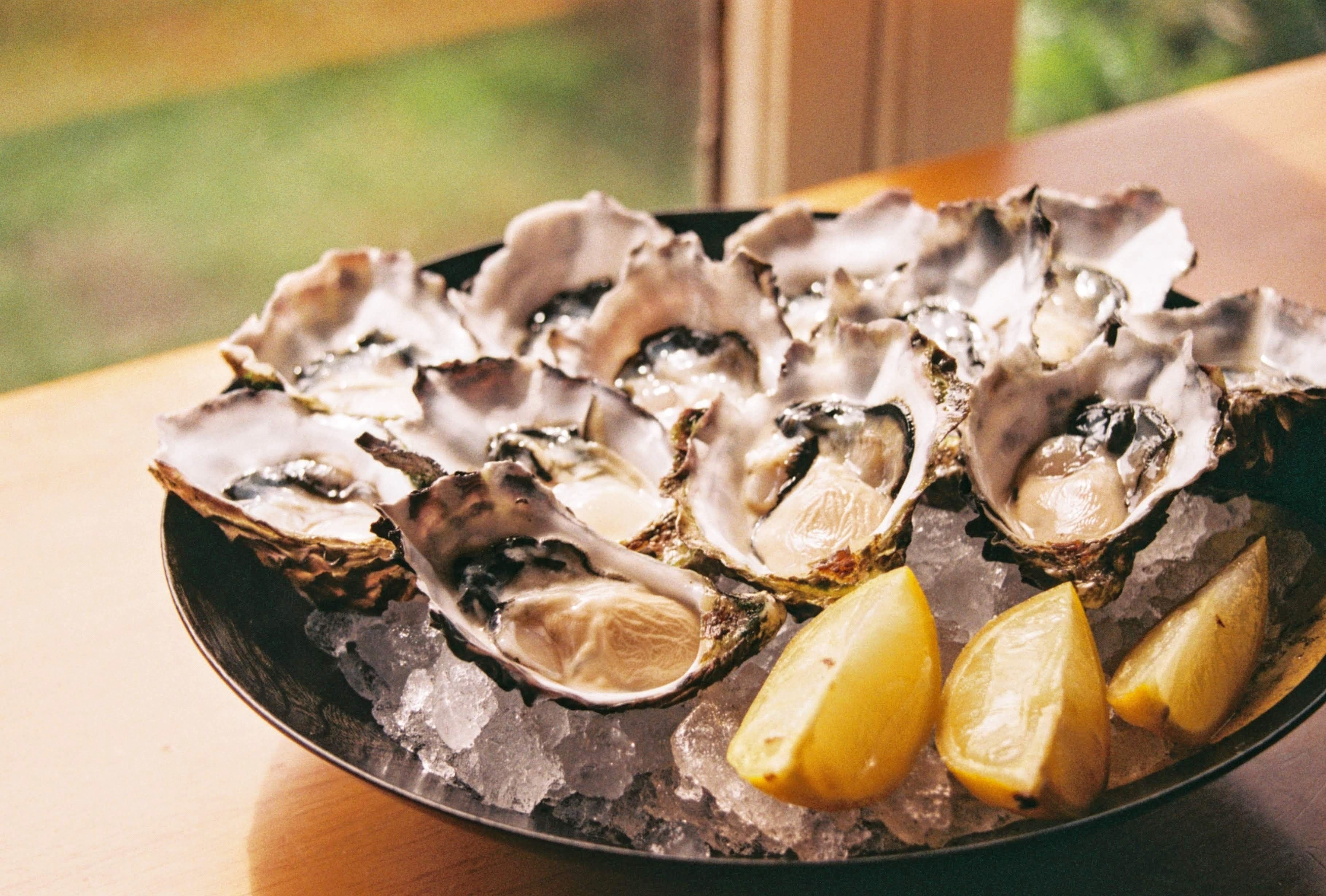 aus-sa-eyre peninsula - oysters