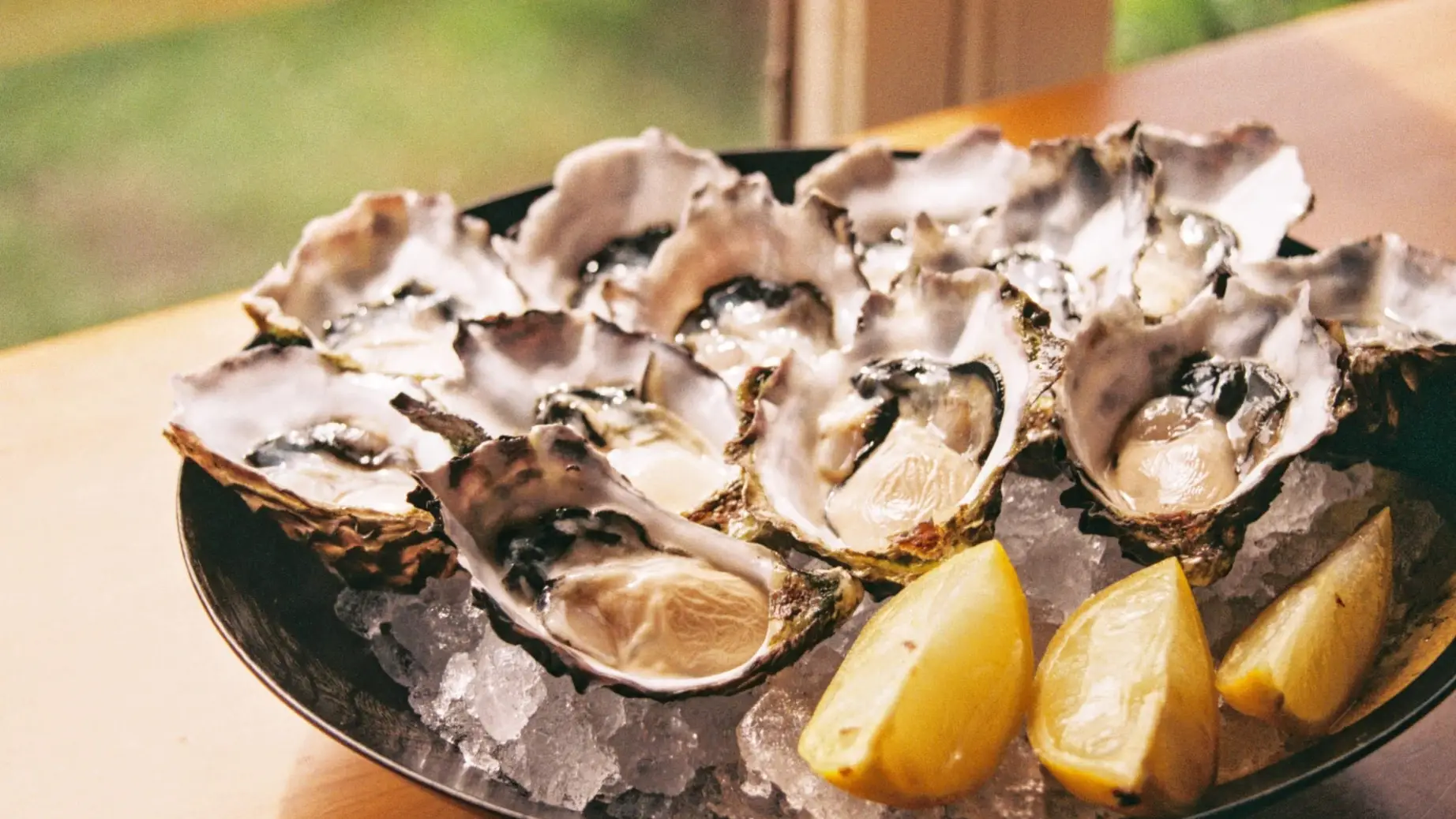 aus-sa-eyre peninsula - oysters