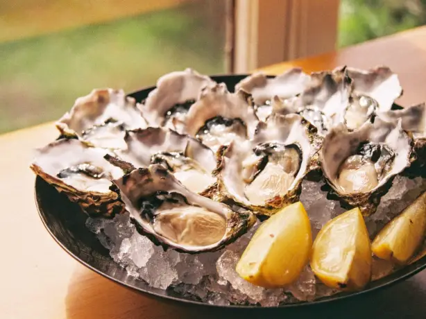 aus-sa-eyre peninsula - oysters