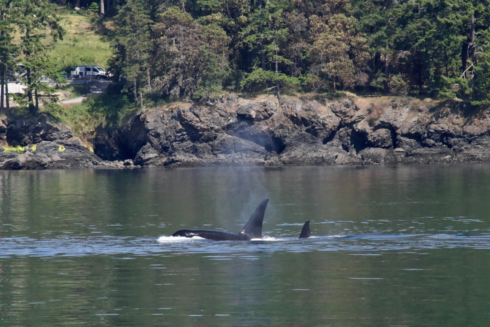 Orca Spirits Mama met de kleine