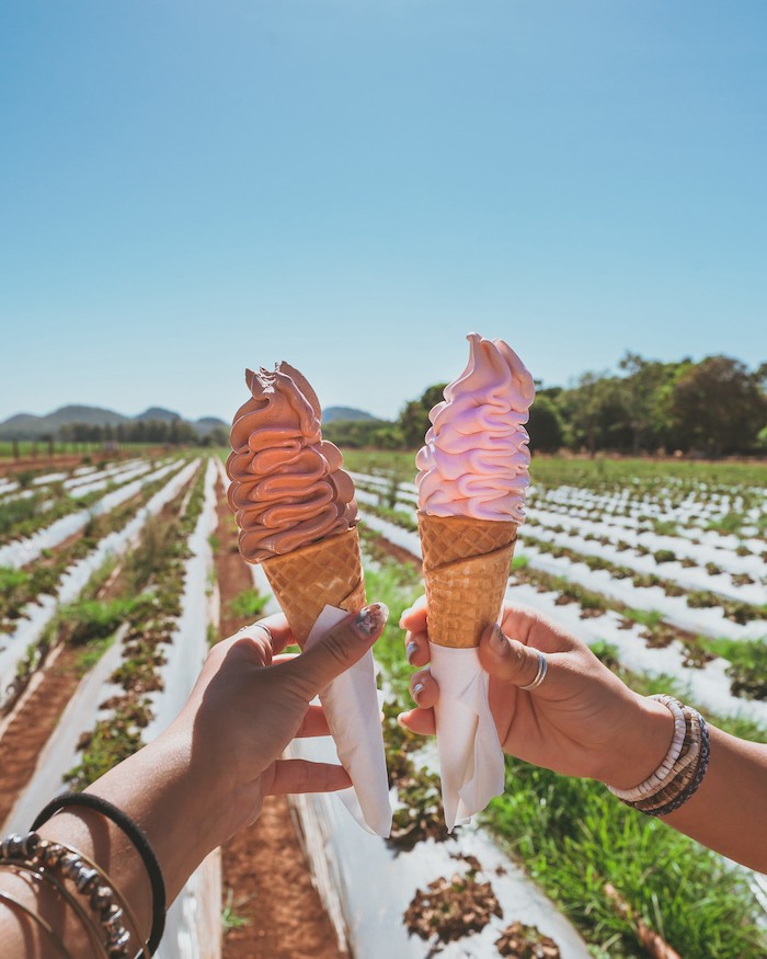 Australien Tropical North Queensland Atherton Strawberry Farm