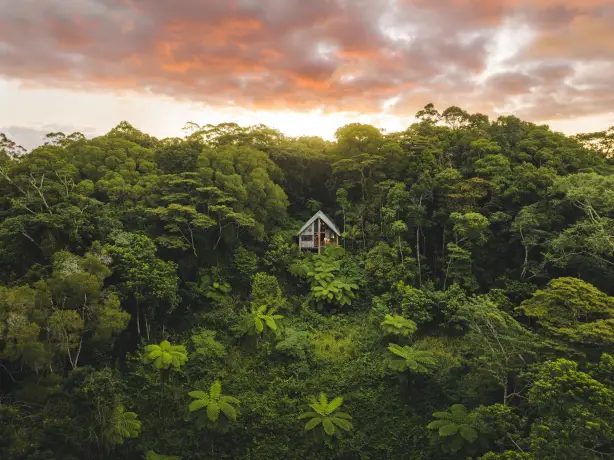 A wooden house in the tropical forest, Atherton Wilderness Retreat in Australia