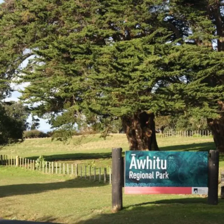 Auckland South 1614695946 Auckland South2