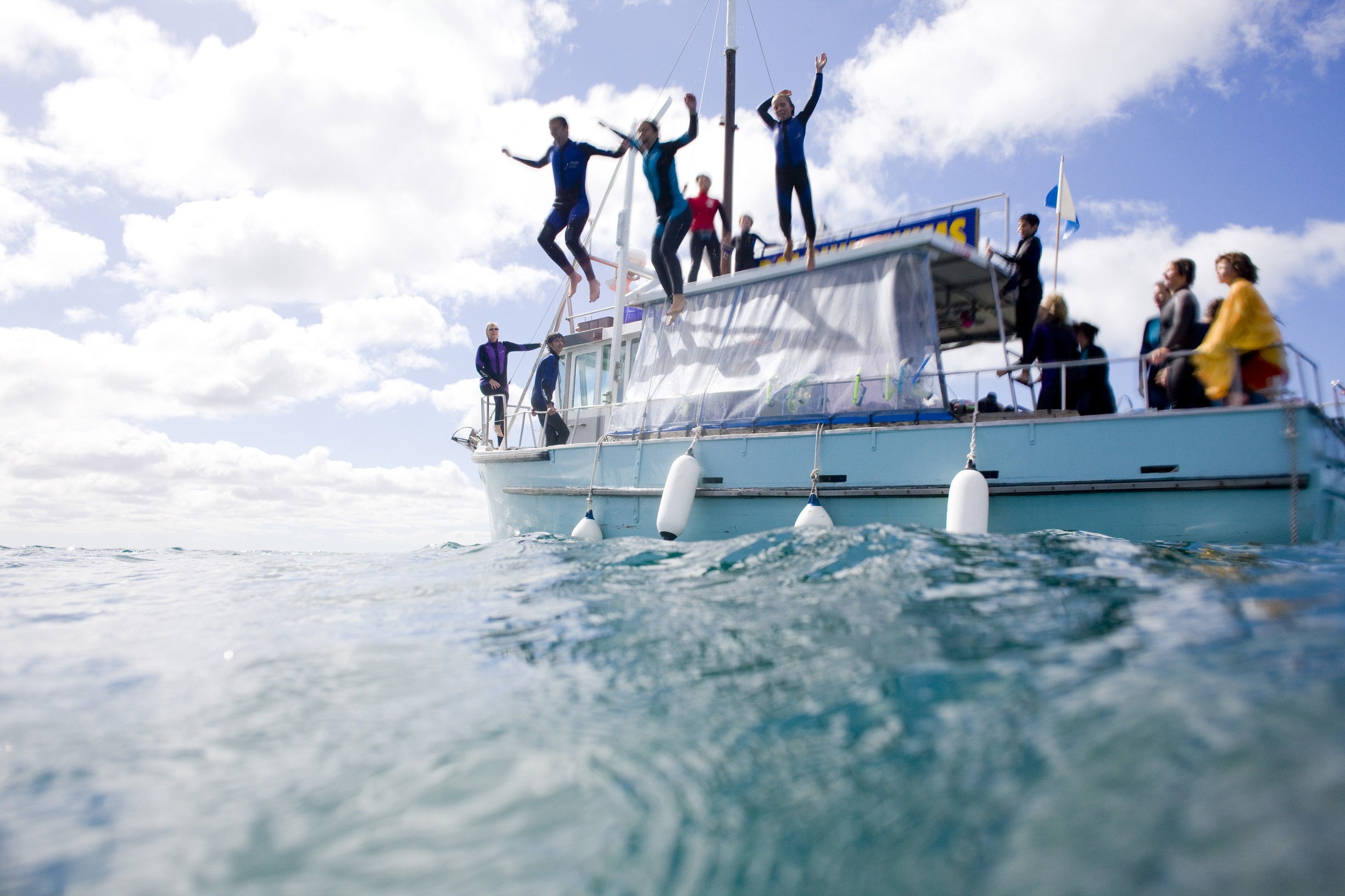 Australien Victoria Schwimmen mit Delfinen Queenscliff