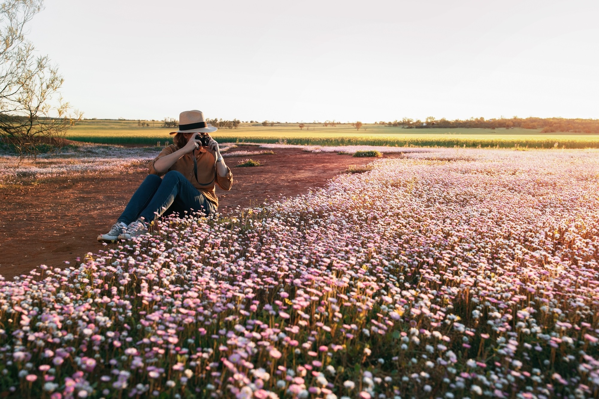 Een vrouw maakt een foto van de wilde bloemen van Morawa in Australië