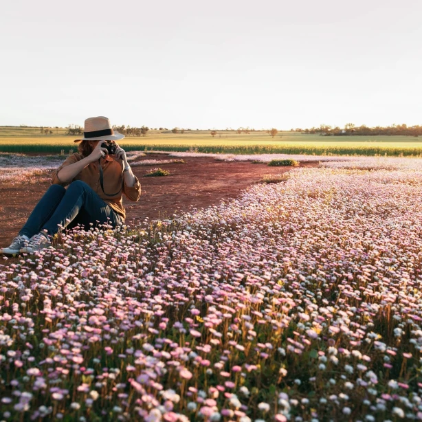 Een vrouw maakt een foto van de wilde bloemen van Morawa in Australië