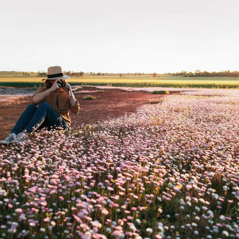 Eine Frau beim Fotografieren der Wildblumen von Morawa in Australien
