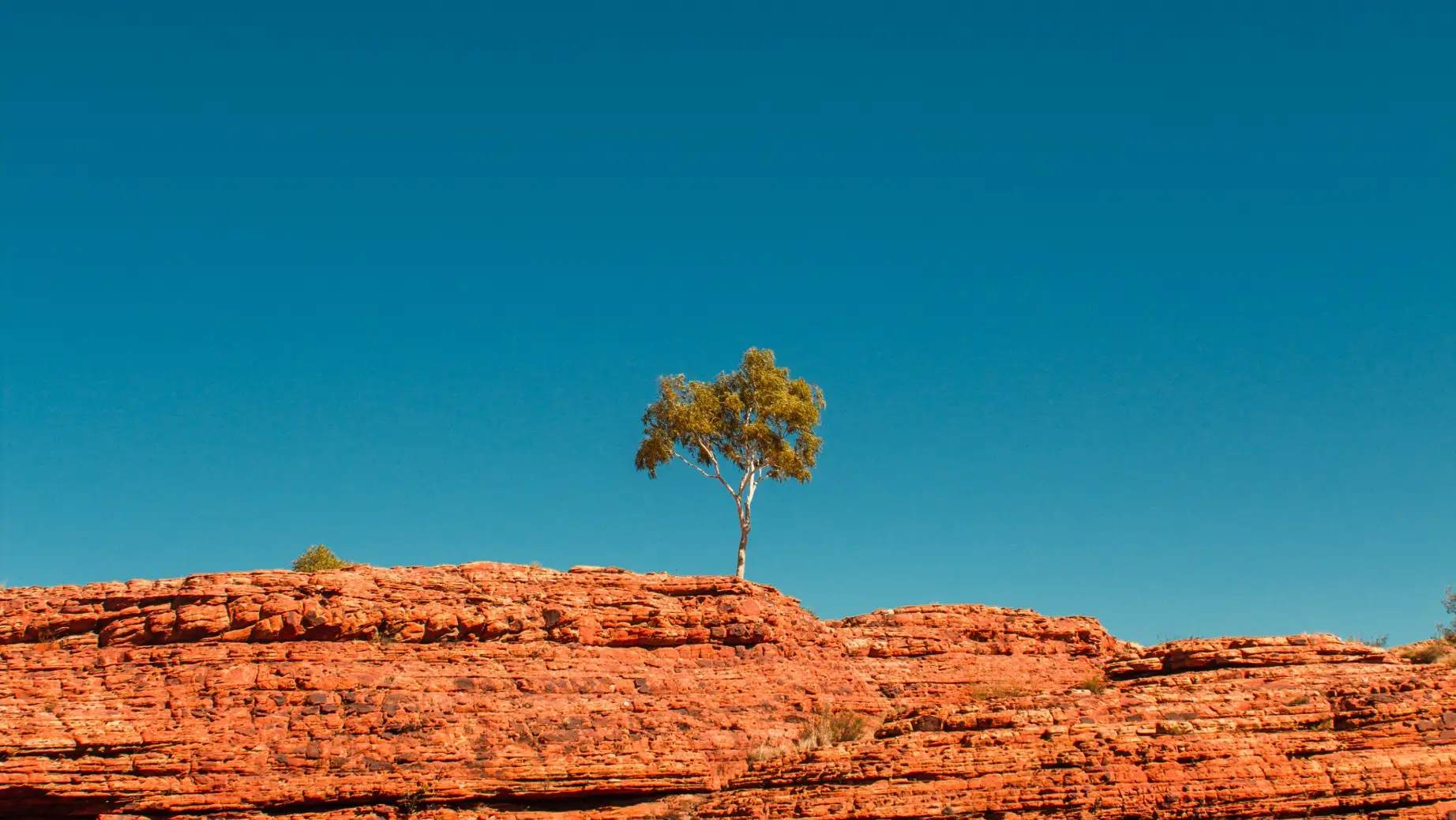 Watarrka National Park Australia