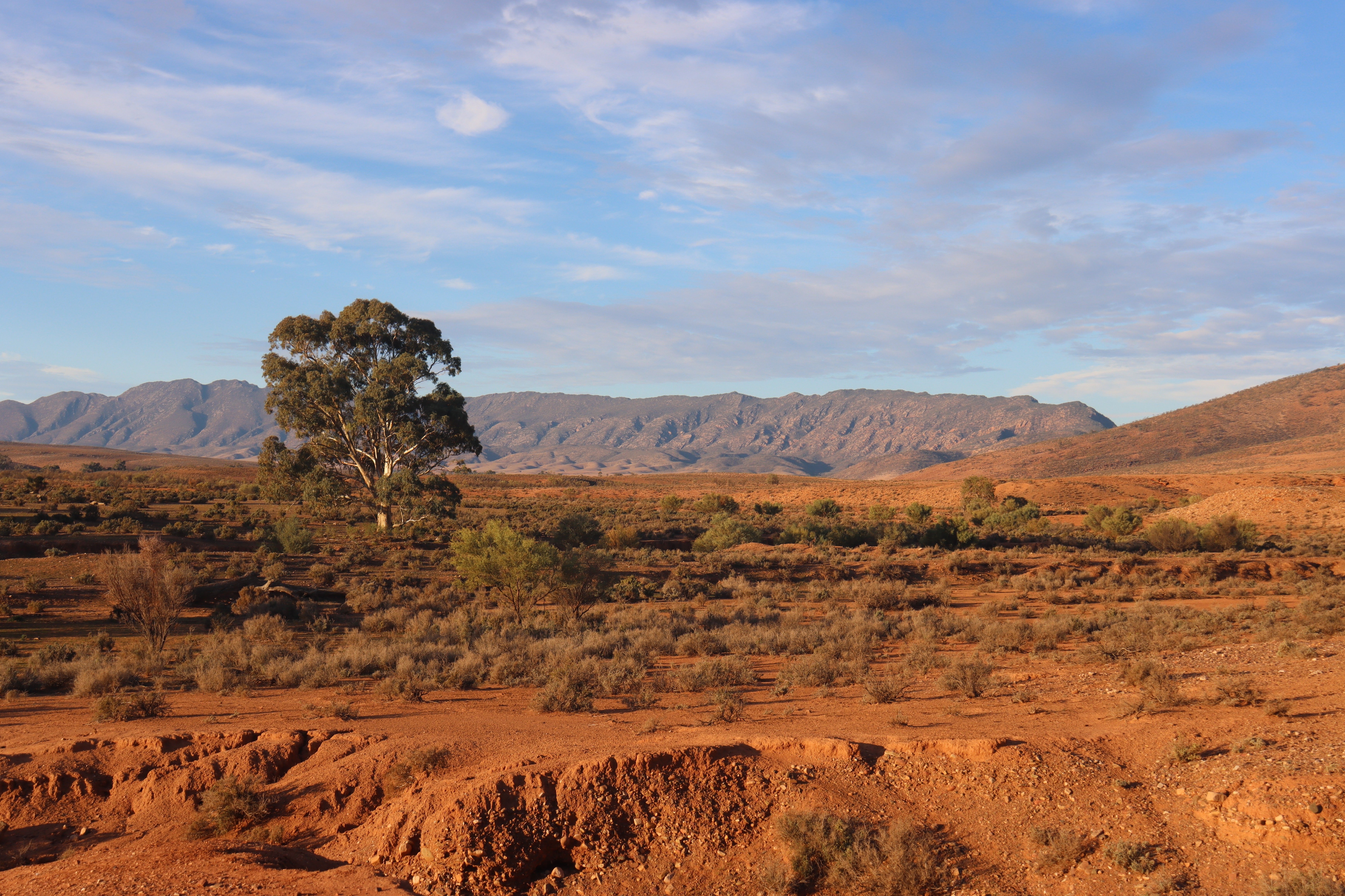 The Flinders Ranges landscape at Mt Little Station in South Australia