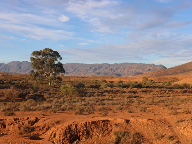 The Flinders Ranges landscape at Mt Little Station in South Australia