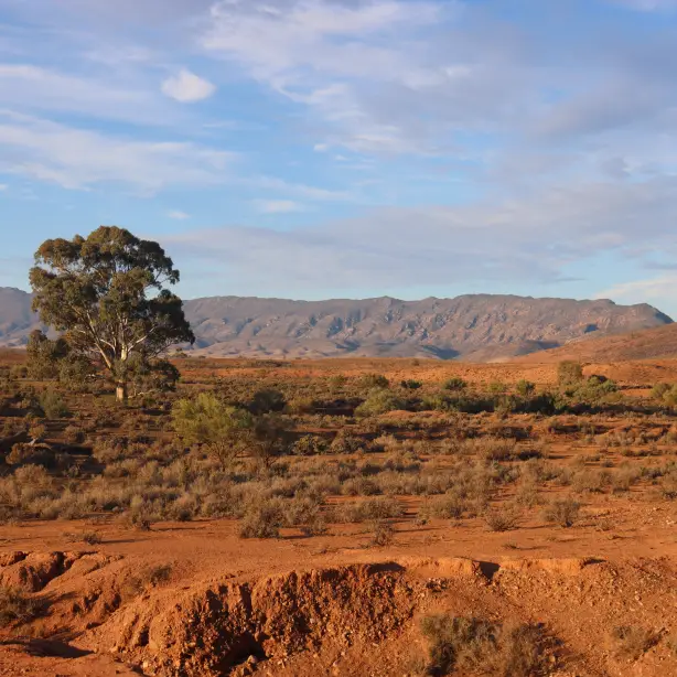 Het landschap van de Flinders Ranges bij Mt Little Station in Zuid-Australië