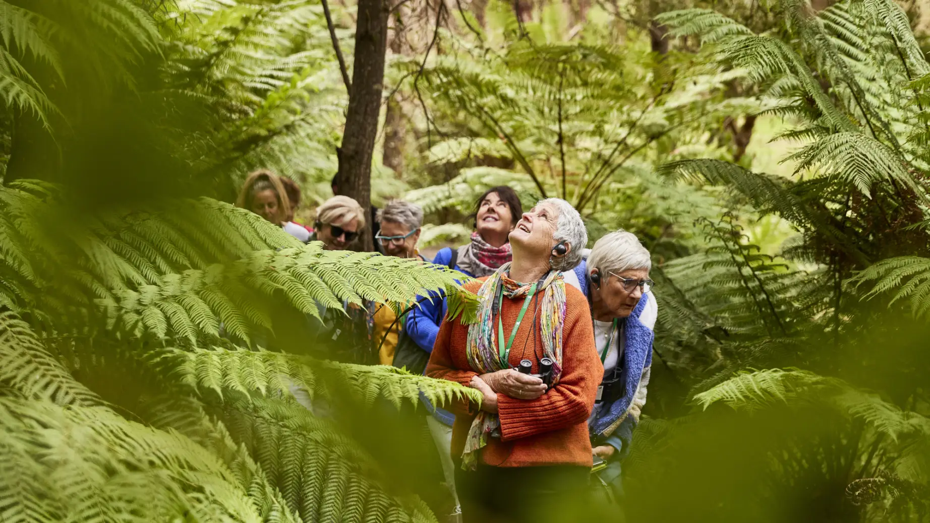 AUS-VIC-Great-Ocean-Road-ferns-guided-tour-sanctuary