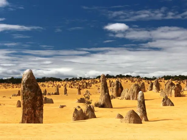 AUS WA Pinnacles tobias keller unsplash
