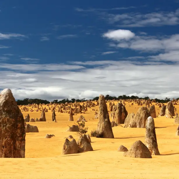 AUS WA Pinnacles tobias keller unsplash