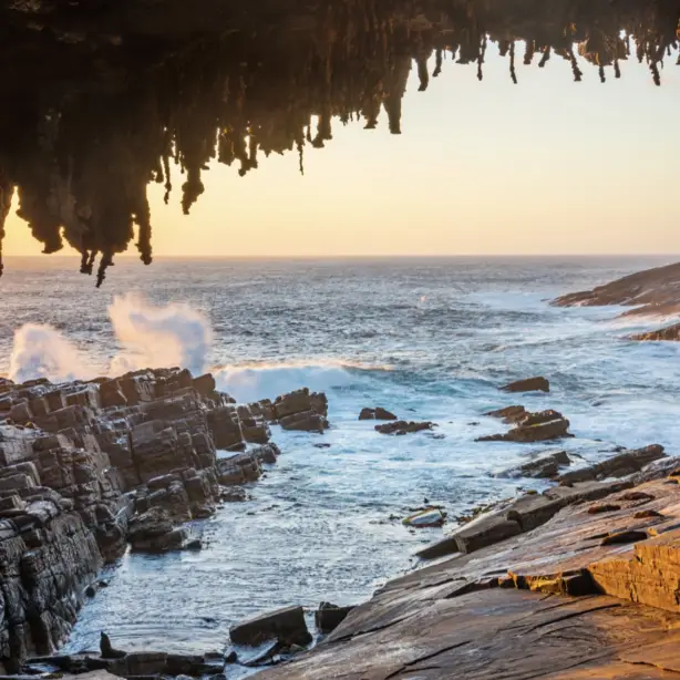 Uitzicht op de zee vanaf Admirals Arch op Kangaroo Island in Australië