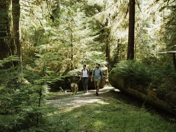 Ein Paar und ein Hund, die in Kanada durch den Wald spazieren