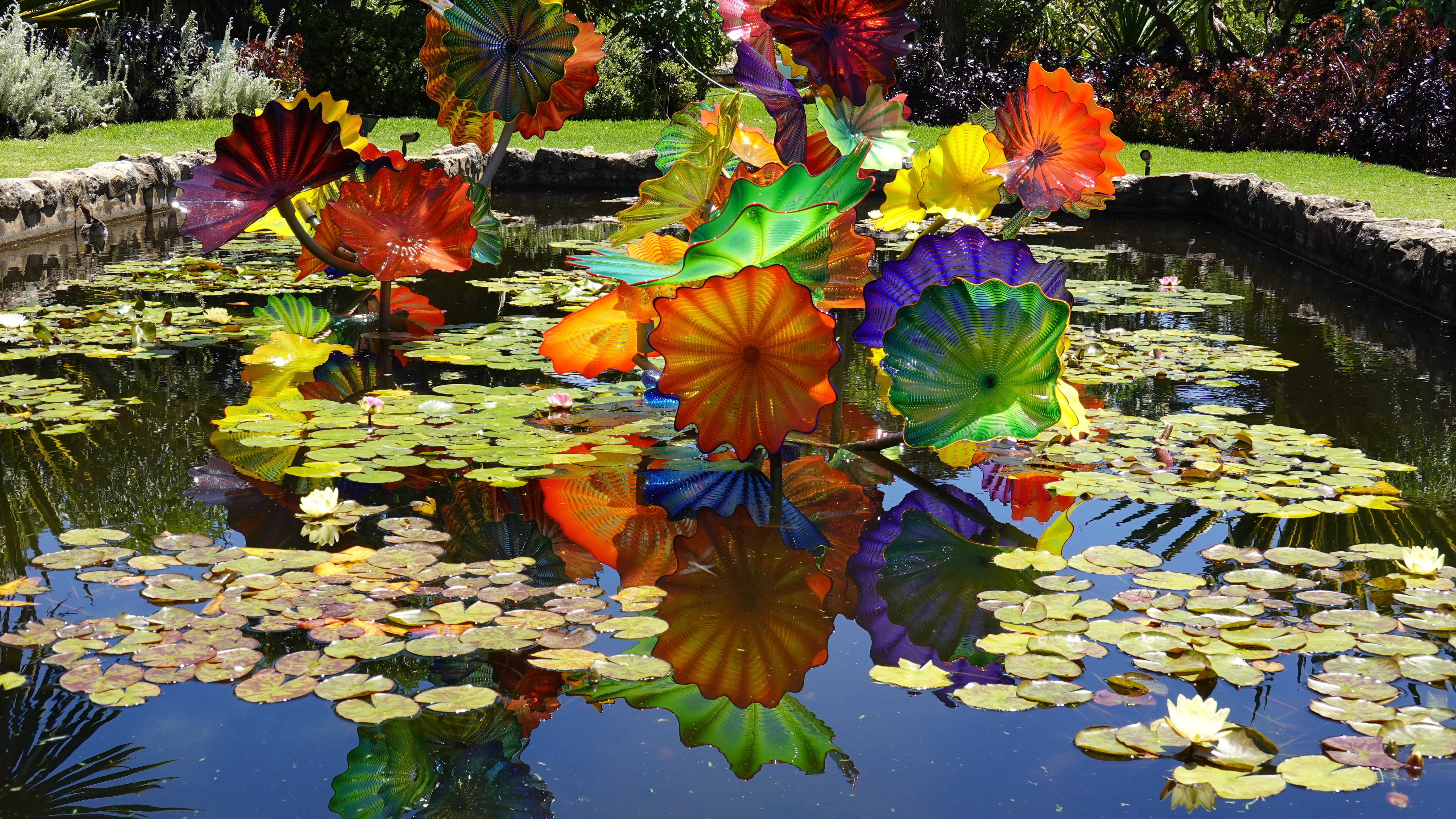 Australien Adelaide Botanic Garden Künstler Dale Chihuly