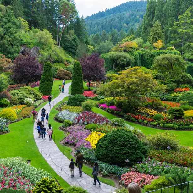 Mensen lopen door het prachtige kleurrijke Butchart Gardens