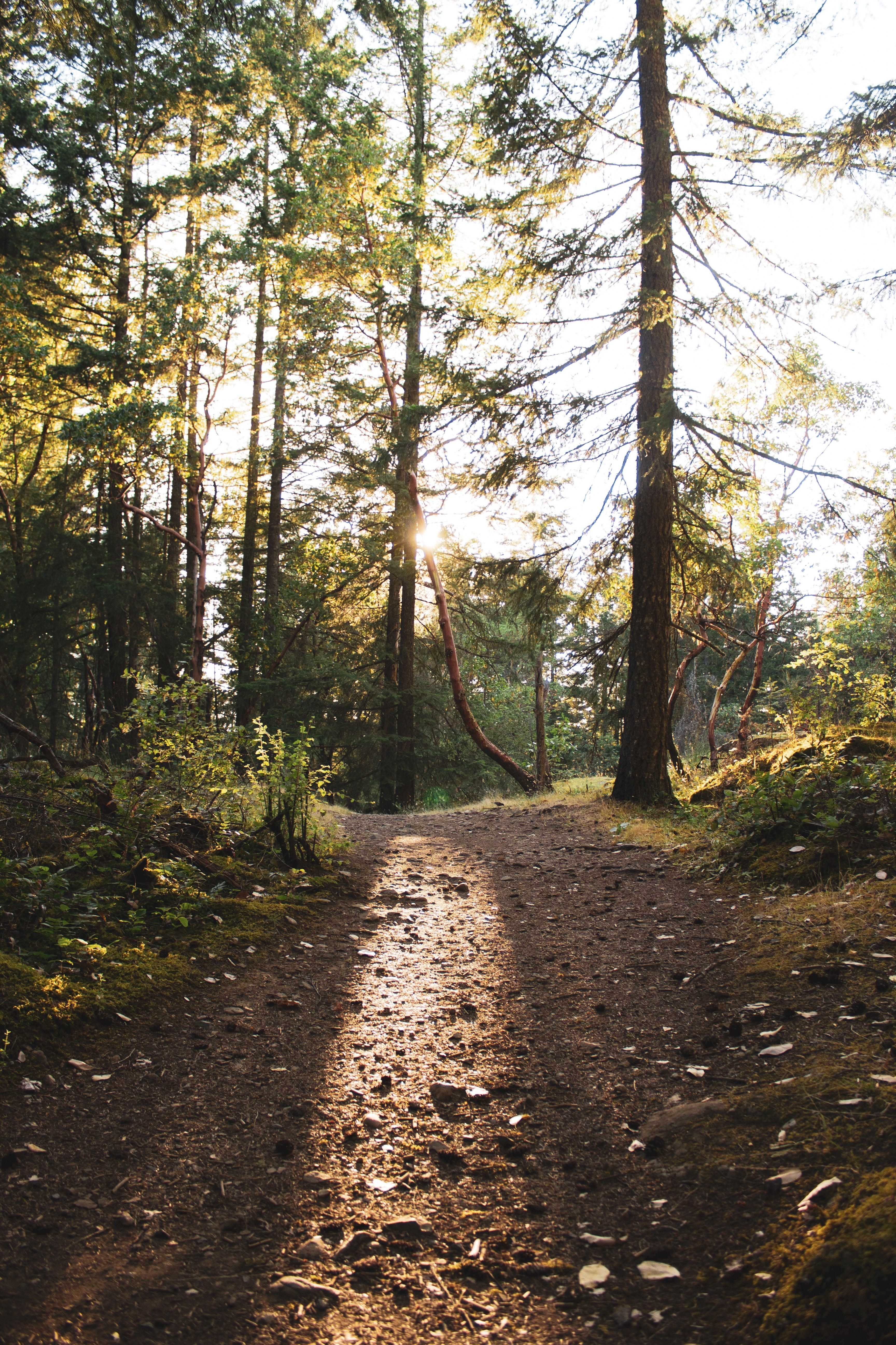 CA BC Vancouver Island Nanaimo Long Lake george fennelly unsplash