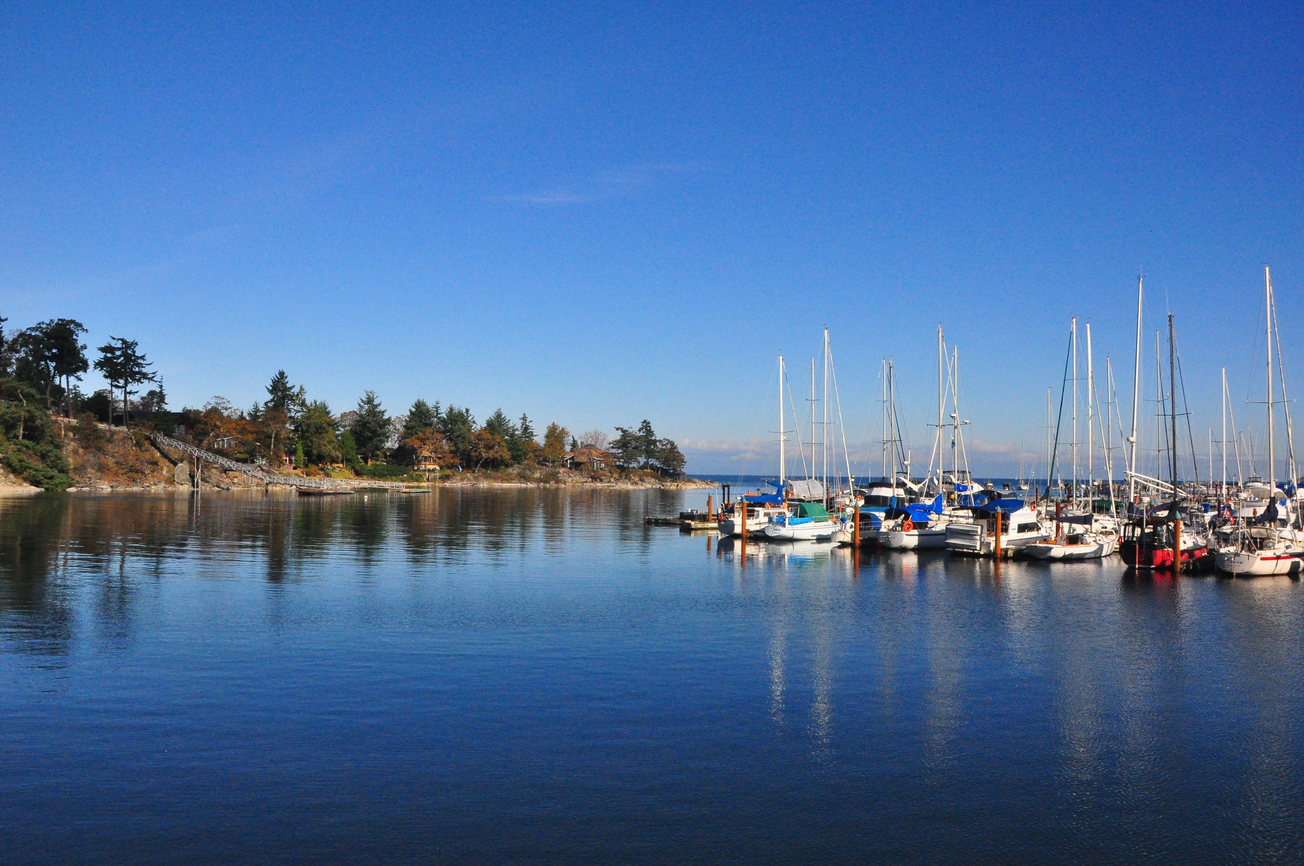 CA BC Vancouver Island Tofino marina adrienne merritt unsplash