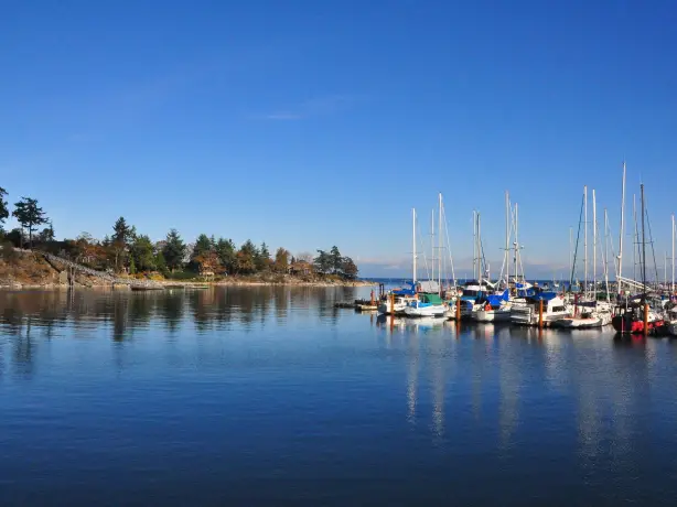CA BC Vancouver Island Tofino marina adrienne merritt unsplash