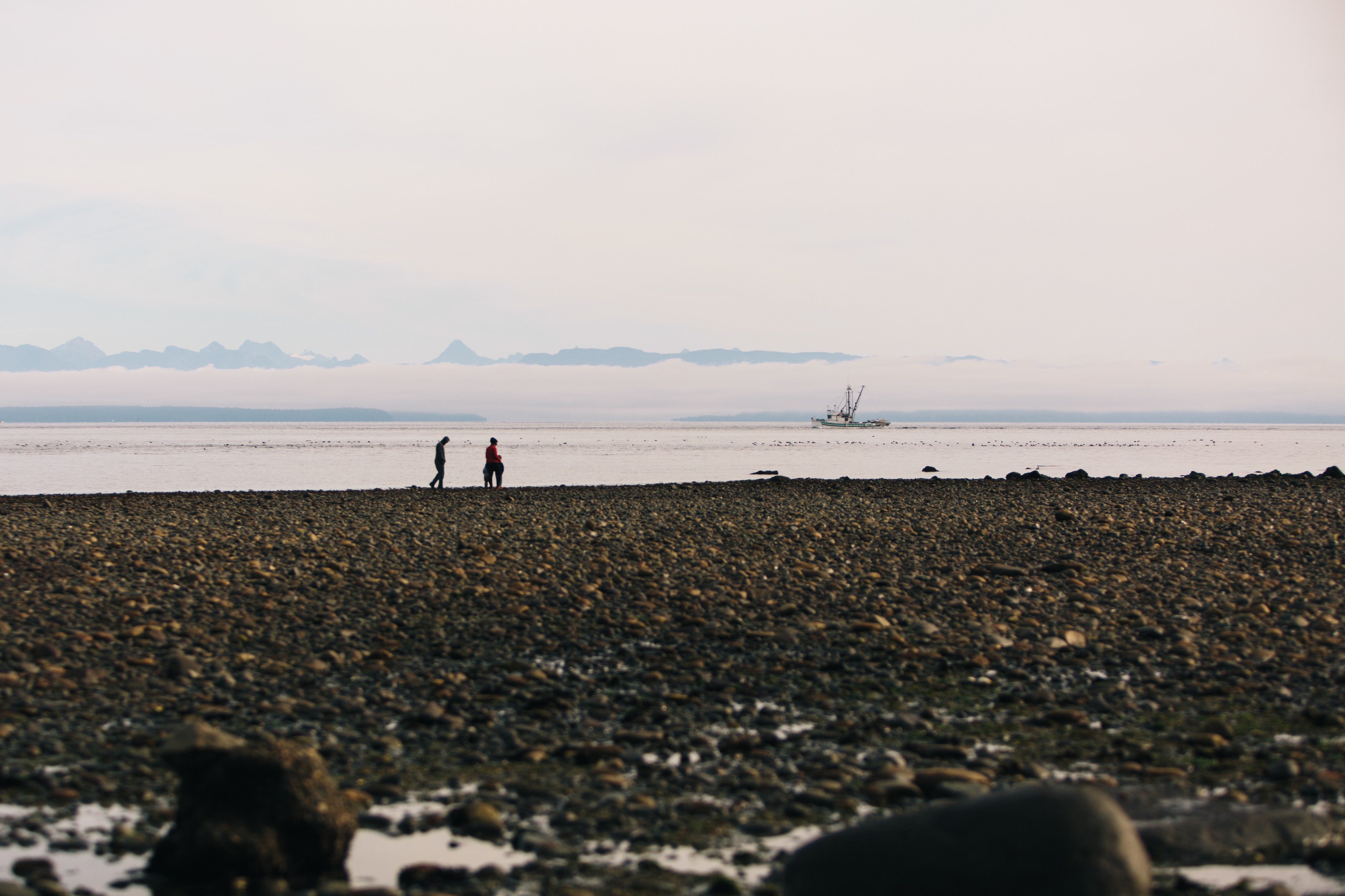 CA British Columbia Campbell River couple walking