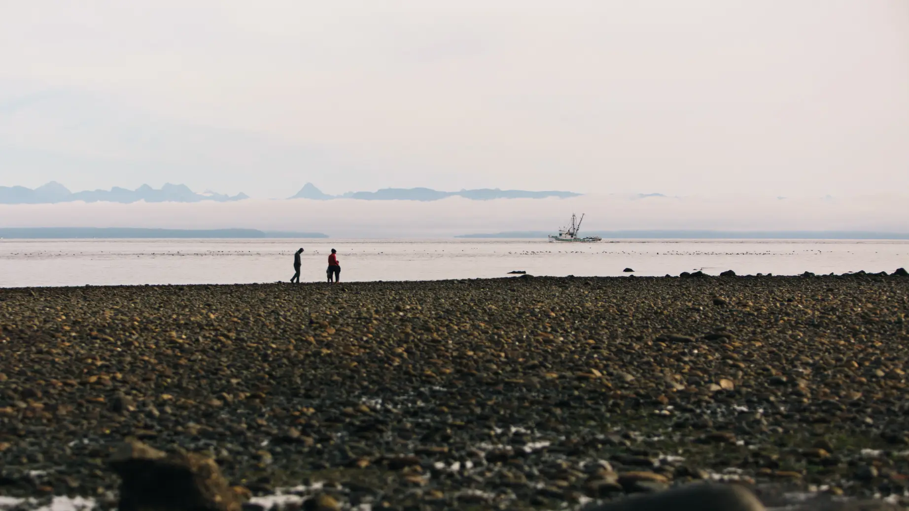 CA British Columbia Campbell River couple walking
