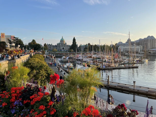 view overlooking the inner harbour of Victoria BC, people walking alongside the docked boats