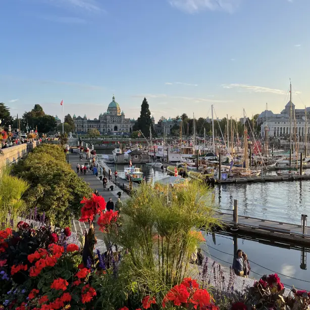 view overlooking the inner harbour of Victoria BC, people walking alongside the docked boats