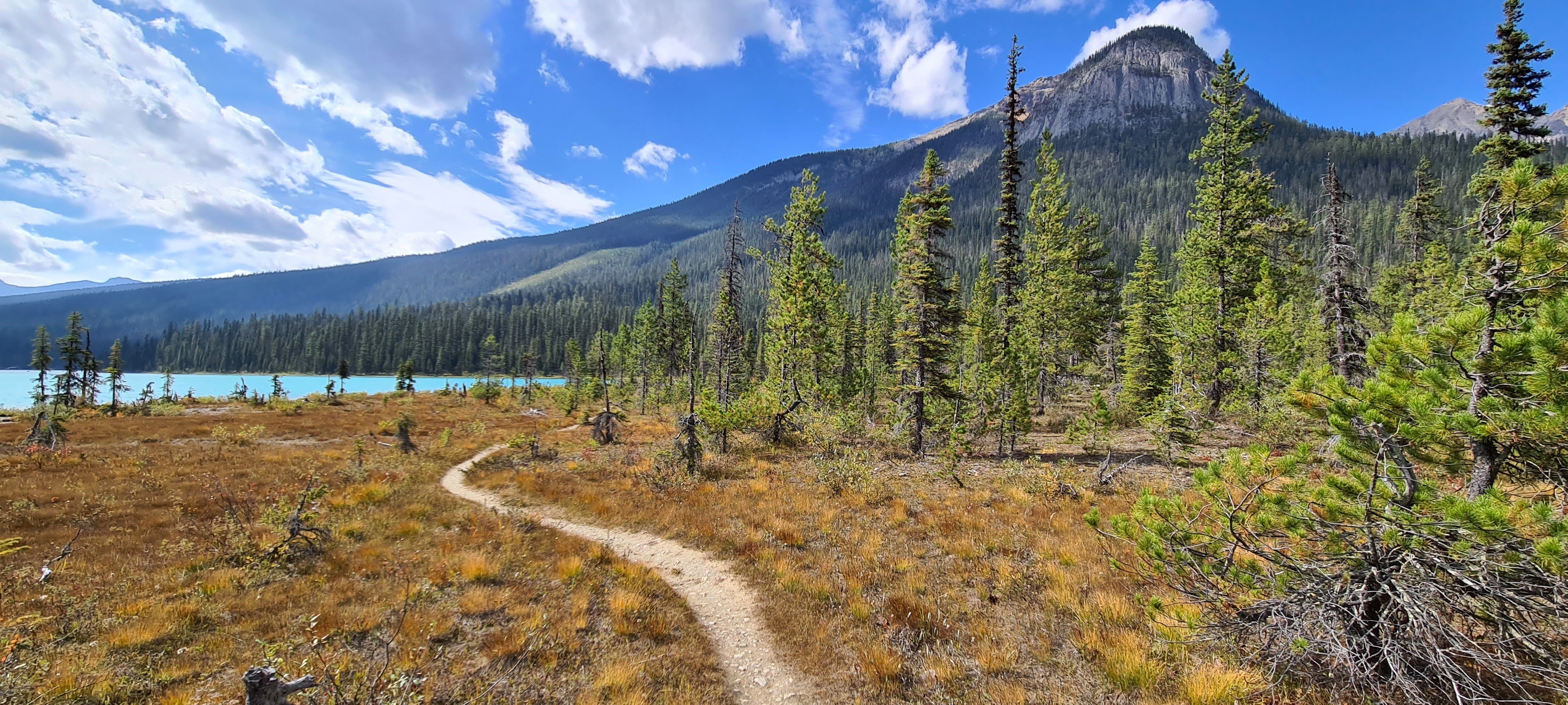 CA Yoho National Park Panorama trail