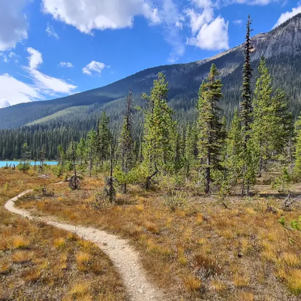 CA Yoho National Park Panorama trail