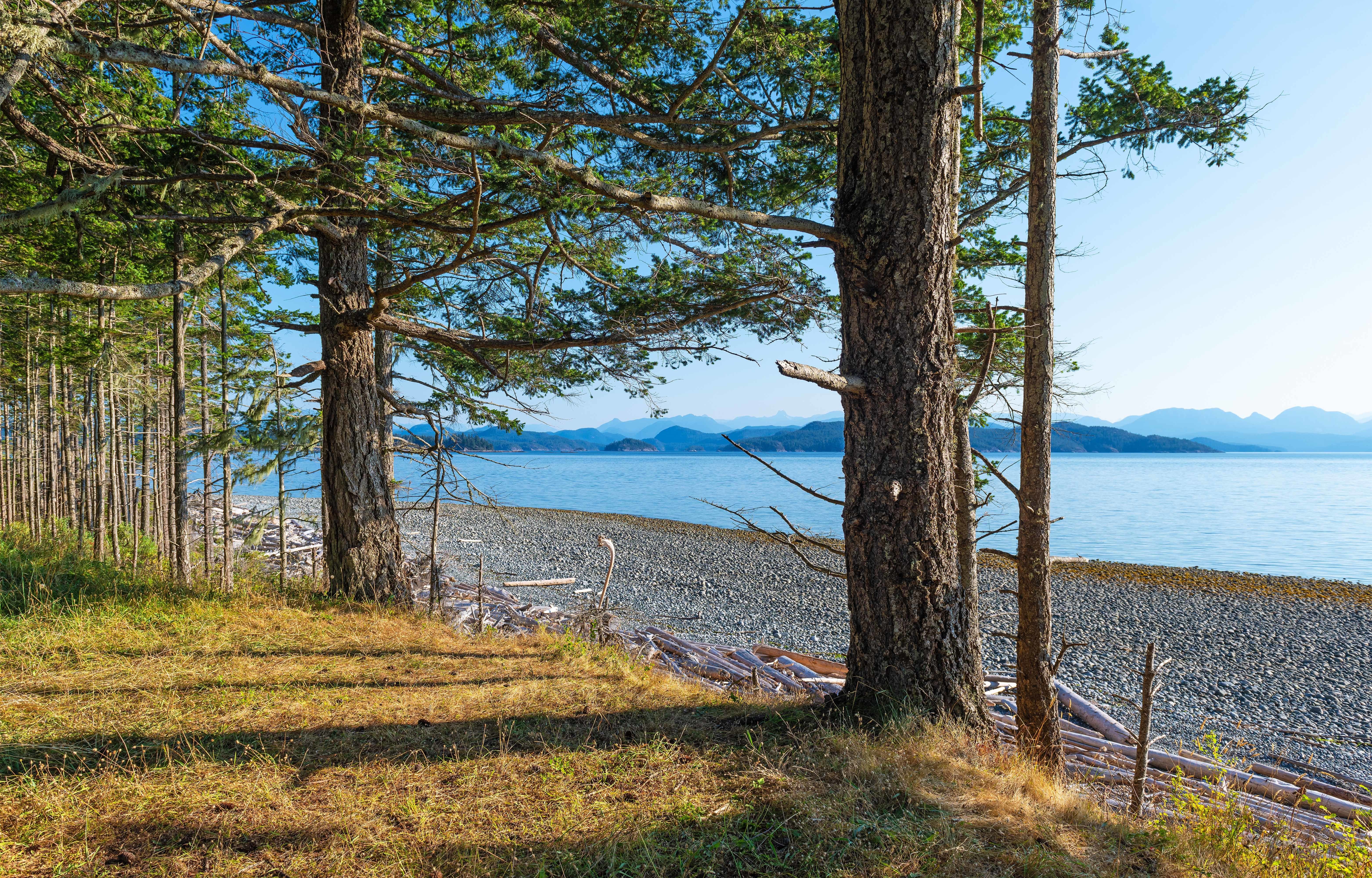 CAN quadra island view
