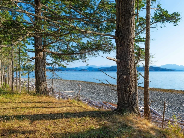 CAN quadra island view