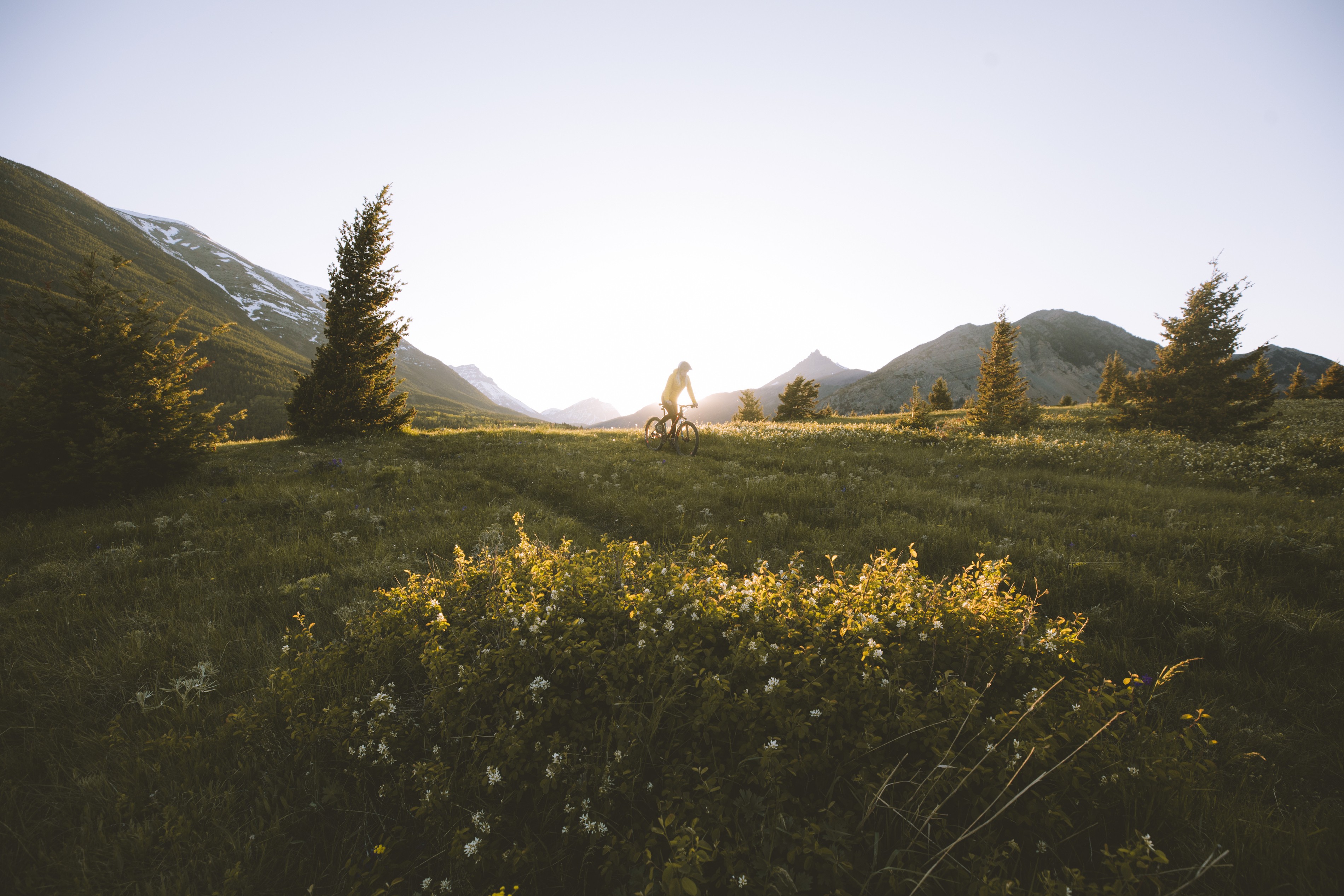 CAN Alberta Solo