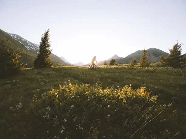 CAN Alberta Solo